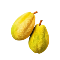 Fresh jackfruit isolated on transparent background png