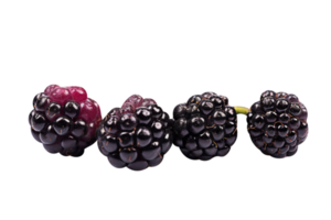 Bunch of fresh blackberries isolated on transparent background png