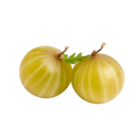 fresco amla ou groselha par isolado em transparente fundo png