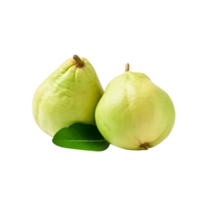 Fresh guava fruit pair isolated on transparent background png