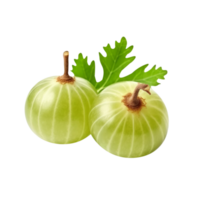 Fresh amla or gooseberry pair isolated on transparent background png