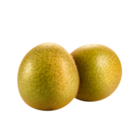 Freh kiwi fruit isolated on transparent background png