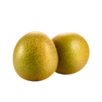 freh kiwi frukt isolerat på transparent bakgrund png