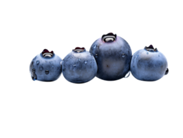 Bunch of fresh blueberries isolated on transparent background png