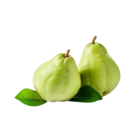 Fresh guava fruit pair isolated on transparent background png