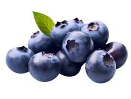 Bunch of fresh blueberries isolated on transparent background png