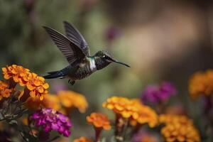 Humming bird hovering over colorful, pollen filled flowers photo