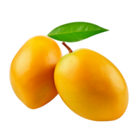 Fresh mango fruit isolated on transparent background png