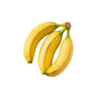 Fresh bananas isolated on transparent background png
