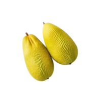 Fresh jackfruit isolated on transparent background png