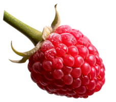 Fresh tasty raspberries isolated on transparent background png