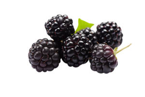 Bunch of fresh blackberries isolated on transparent background png