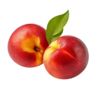 Fresh nectarine fruit pair isolated on transparent background png