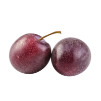 Fresh plum fruit pair isolated on transparent background png