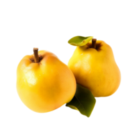 Fresh quince fruit isolated on transparent background png