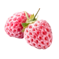 Fresh red pineberry pair isolated on transparent background png