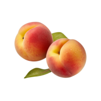 Fresh peach fruit pair isolated on transparent background png