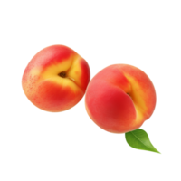 Fresh peach fruit pair isolated on transparent background png