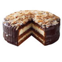 Freshly baked almond joy cake on transparent background png