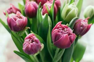 Spring Flowers in Bunch Close-up Blurred Abstract Background photo