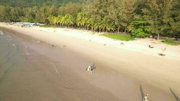 4k antenne dar beeldmateriaal kamala strand, kathu, phuket, Thailand video