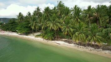4k aérien drone métrage de nathon plage sur koh Samui video