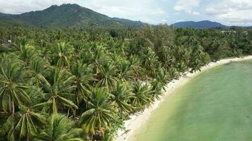 4k aereo fuco metraggio di nathon spiaggia su KOH samui video