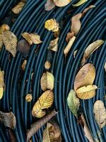 Abandoned electrical wires outdoors with scattered dry leaves on top photo