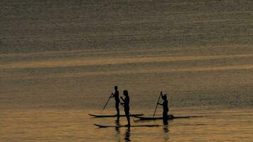 Silhouettes of a people on Stand Up Paddle Board at sunset, Nai Harn beach, Phuket, Thailand video