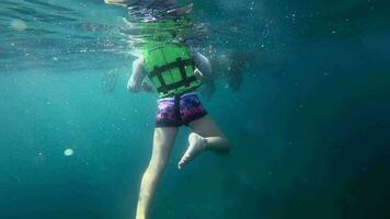Underwater footage, feet and hands of people. Snorkeling on an island in Thailand video