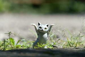 cat toy photo in outdoor photo with blurred background