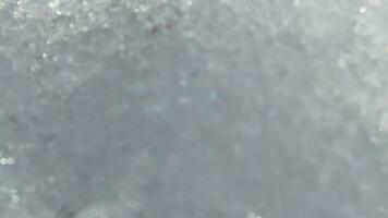 beeldmateriaal van smeltende sneeuw, voorjaar seizoen in de tuin. delicaat muscari bloem bloemknoppen video