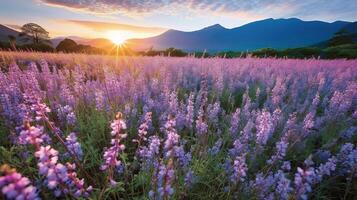 hermosa vistoso flor cosmos campos con difuminar montaña antecedentes. generativo ai foto