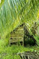 Wooden hut in the middle of the jungle photo