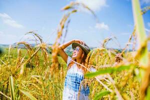 las mujeres asiáticas viajan por campos de arroz verdes en las montañas en las vacaciones. feliz y disfrutando de una hermosa naturaleza. campos de arroz dorados. el verano foto