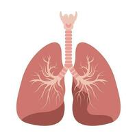 Lungs icon, flat style. Internal organs of the human design element, logo. Anatomy, medicine concept. Healthcare. Isolated on white background. Vector illustration