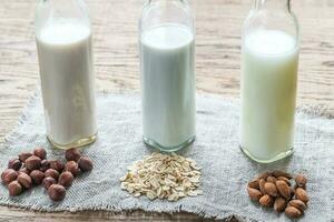 Different types of non-dairy milk photo