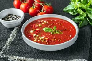 Portion of gazpacho photo