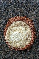Different kinds of rice photo