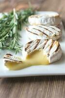 Grilled Camembert cheese with fresh rosemary photo