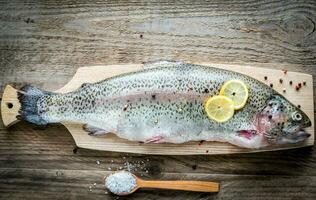 Fresh trout flat lay photo