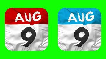 Ninth, 9th August Date Calendar Seamless Looping Squire Cloth Icon, Looped Plain Fabric Texture Waving Slow Motion, 3D Rendering, Green Screen, Alpha Matte video