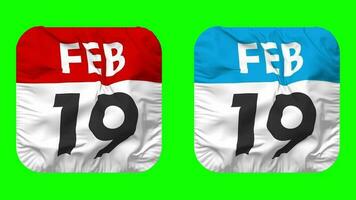 neunzehnter, 19 .. Februar Datum Kalender nahtlos Schleifen Knappe Stoff Symbol, geloopt einfach Stoff Textur winken schleppend Bewegung, 3d Wiedergabe, Grün Bildschirm, Alpha matt video