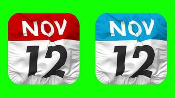 Twelfth, 12th November Date Calendar Seamless Looping Squire Cloth Icon, Looped Plain Fabric Texture Waving Slow Motion, 3D Rendering, Green Screen, Alpha Matte video