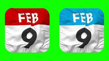 Ninth, 9th February Date Calendar Seamless Looping Squire Cloth Icon, Looped Plain Fabric Texture Waving Slow Motion, 3D Rendering, Green Screen, Alpha Matte video