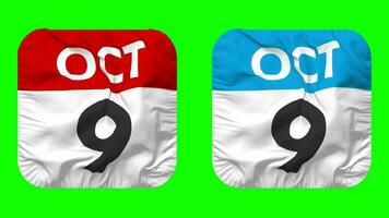 Ninth, 9th October Date Calendar Seamless Looping Squire Cloth Icon, Looped Plain Fabric Texture Waving Slow Motion, 3D Rendering, Green Screen, Alpha Matte video