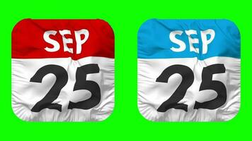 Twenty Fifth, 25th September Date Calendar Seamless Looping Squire Cloth Icon, Looped Plain Fabric Texture Waving Slow Motion, 3D Rendering, Green Screen, Alpha Matte video