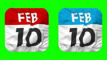 tiende, 10e februari datum kalender naadloos looping schildknaap kleding icoon, lusvormige duidelijk kleding stof structuur golvend langzaam beweging, 3d weergave, groen scherm, alpha matte video