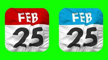 Twenty Fifth, 25th February Date Calendar Seamless Looping Squire Cloth Icon, Looped Plain Fabric Texture Waving Slow Motion, 3D Rendering, Green Screen, Alpha Matte video