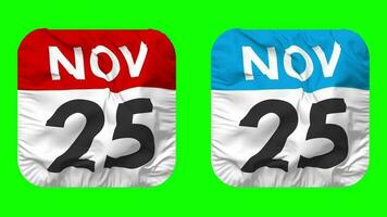 Twenty Fifth, 25th November Date Calendar Seamless Looping Squire Cloth Icon, Looped Plain Fabric Texture Waving Slow Motion, 3D Rendering, Green Screen, Alpha Matte video